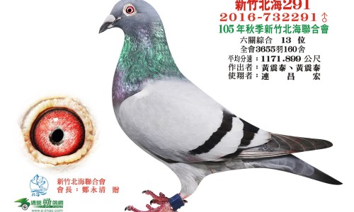 新生化颗粒的成分及作用是什么-新生化颗粒江苏仁寿说明书网- 新生化颗粒说明书完整版知识,分享新生化颗粒功效